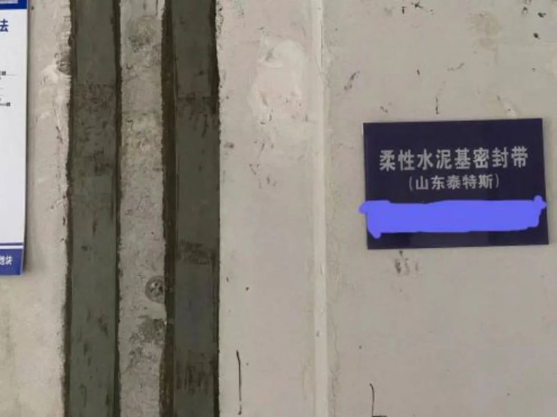 泰特斯為何成為行業翹楚?“精、尖、專”是關鍵!